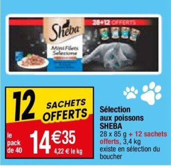 Sélection aux poissons SHEBA