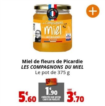 Miel de fleurs de Picardie LES COMPAGNONS DU MIEL