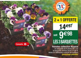 Cora x Carrefour Pensées collection nuance offre