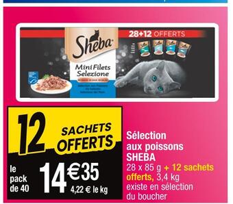 Cora x Carrefour Sheba sélection aux poissons offre