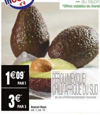 Avocat hass