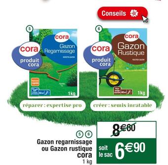 Cora gazon regarnissage ou gazon rustique
