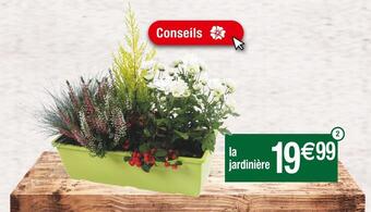 Cora x Carrefour Jardinière d’automne offre