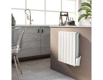 Brico Dépôt Délonghi radiateur à inertie sèche siena - 1 000 w offre