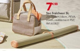 Gifi Sac fraîcheur 5L. offre