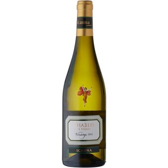 Chablis icauna le finage