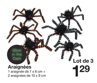 Zeeman Araignées offre