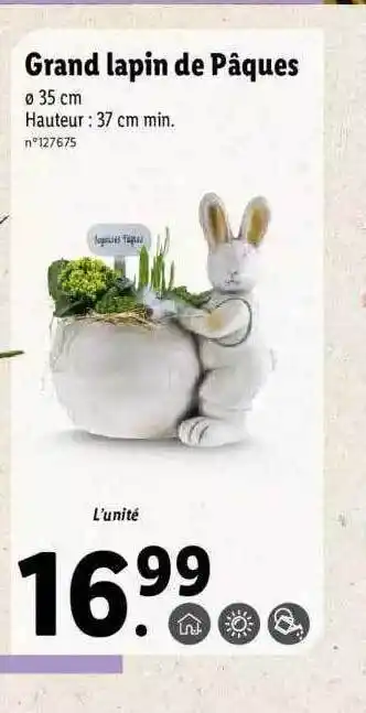 Lidl Grand Lapin De Pâques offre