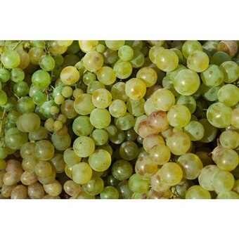 Carrefour Raisin blanc bio offre