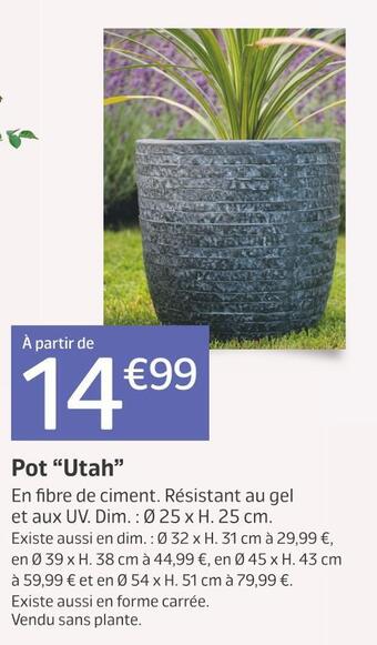 Pot “utah”