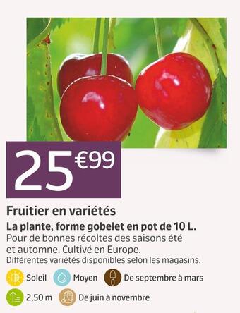Jardiland Fruitier en variétés offre