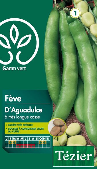 Gamm vert Fèves d'aguadulce à très longue cosse gamm vert offre