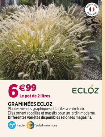 Delbard Ecloz graminées offre
