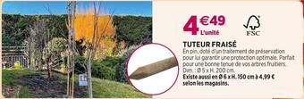 Delbard Tuteur fraisé offre