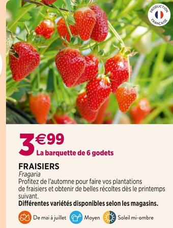 Delbard Fraisiers offre