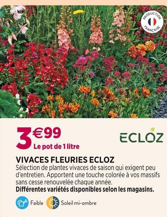 Delbard Ecloz vivaces fleuries offre