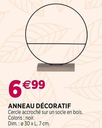 Delbard Anneau décoratif offre