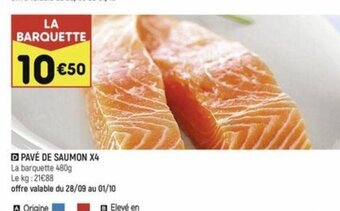 PAVÉ DE SAUMON X4