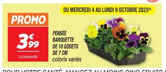 PENSÉE BARQUETTE DE 10 GODETS DE 7 CM