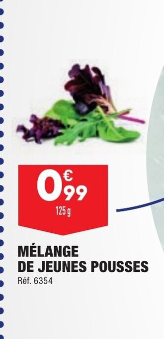 MÉLANGE DE JEUNES POUSSES