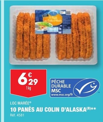 10 PANÉS AU COLIN D'ALASKA
