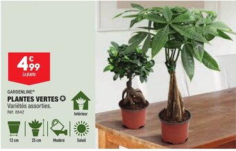 ALDI PLANTES VERTES offre