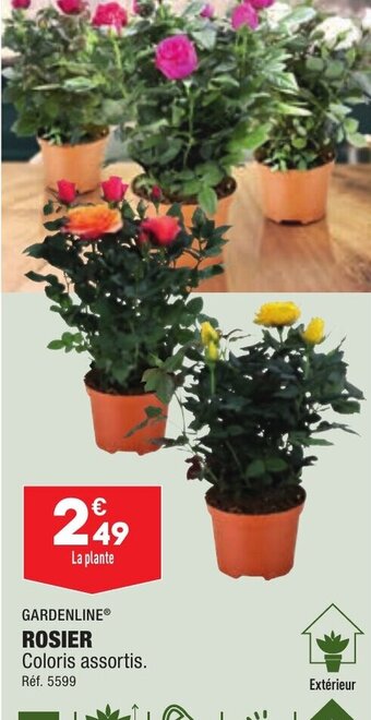 ALDI ROSIER offre