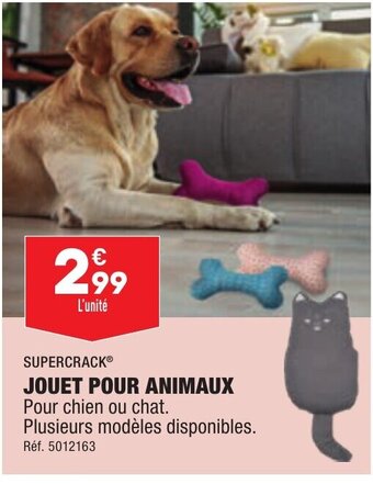 ALDI JOUET POUR ANIMAUX offre