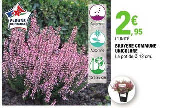 E.Leclerc BRUYERE COMMUNE UNICOLORE offre
