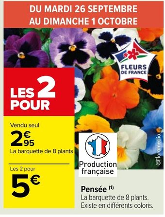 Pensée (¹)