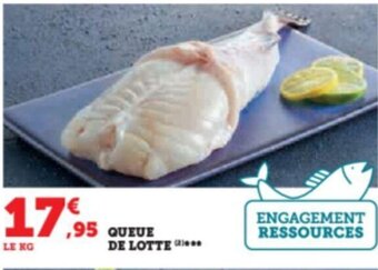Hyper U QUEUE DE LOTTE offre