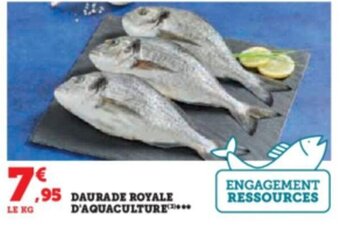 Hyper U DAURADE ROYALE D'AQUACULTURE offre