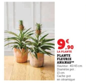 Hyper U PLANTE FLEURIE ANANAS offre