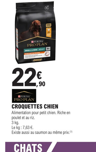 CROQUETTES CHIEN