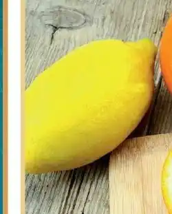 E.Leclerc Citrons jaunes offre