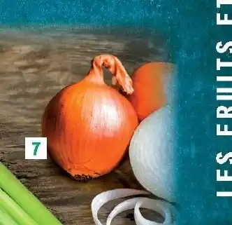 E.Leclerc Oignons jaunes offre