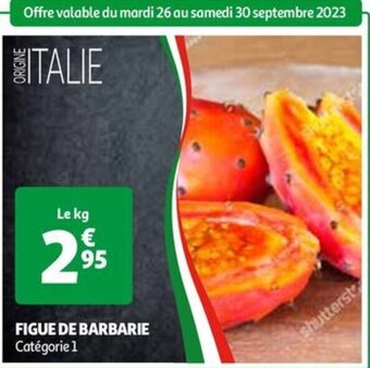 FIGUE DE BARBARIE Catégorie 1