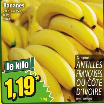 Norma Bananes offre