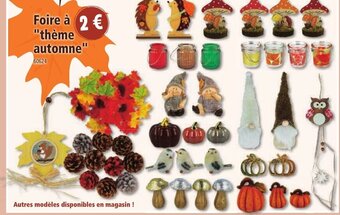 Norma Foire à "thème automne" offre