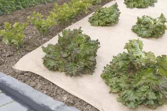 Jardiland Paillage en jute biodégradable jutesol naturel 0,80 x 10 m offre