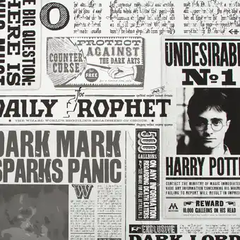 Castorama Papier peint harry potter la gazette du sorcier 1005 x 52cm offre