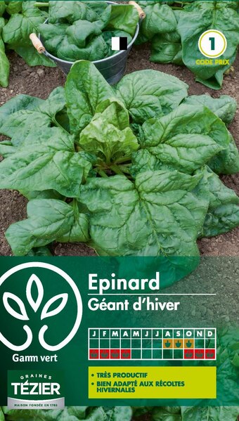 Gamm vert Épinard géant d'hiver gamm vert offre
