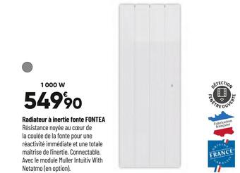 Bricorama Radiateur à inertie fonte fontea offre