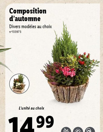 Lidl Composition d'automne offre
