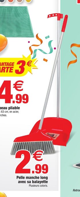 Pelle manche long avec sa balayette