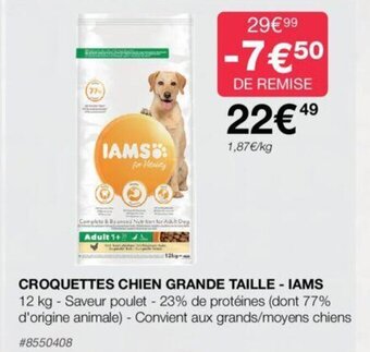 Costco CROQUETTES CHIEN GRANDE TAILLE - IAMS offre
