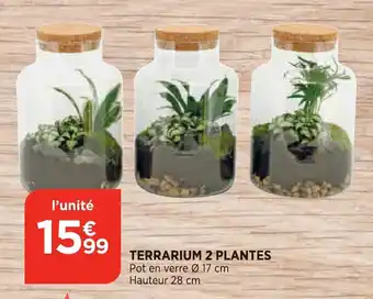 Bi1 Terrarium 2 plantes offre
