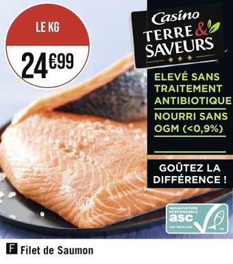 Filet de Saumon