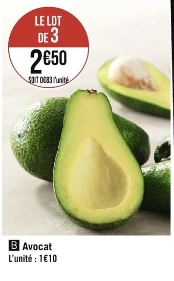 Avocat