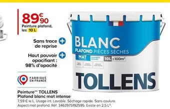 Castorama Tollens peinture*plafond blanc mat intense offre